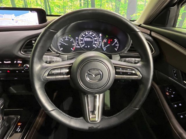 �y�}�c�_�E���[�_�[�N���[�Y�R���g���[���z�������H�ł̒��������s���y��!�����ő��x��ۂN���[�Y�R���g���[�����A�Փˌy���V�X�e���ƘA�g���A�O���̎ԗ������m���ĎԊԂ�ۂ悤�ɑ��x���߂��Ă���܂�!!