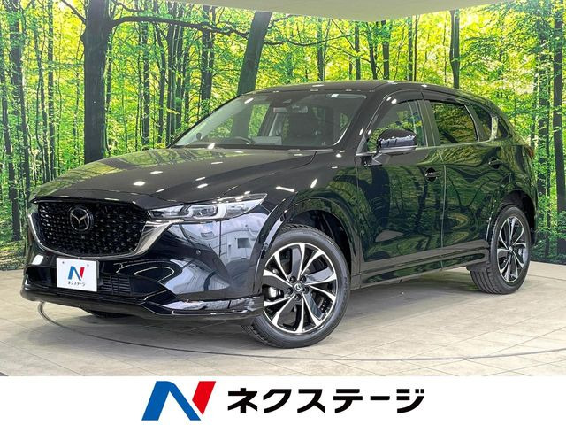CX-5(�}�c�_) XD �v���A�N�e�B�u ���Îԉ摜