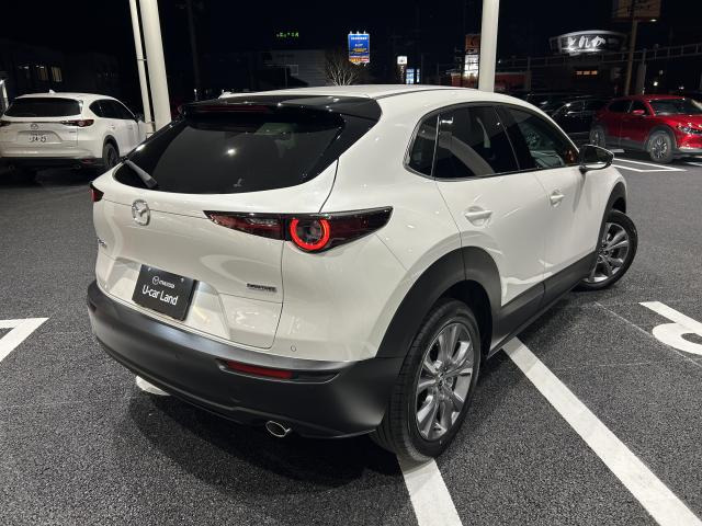 CX-301.8 XD Sパッケージ