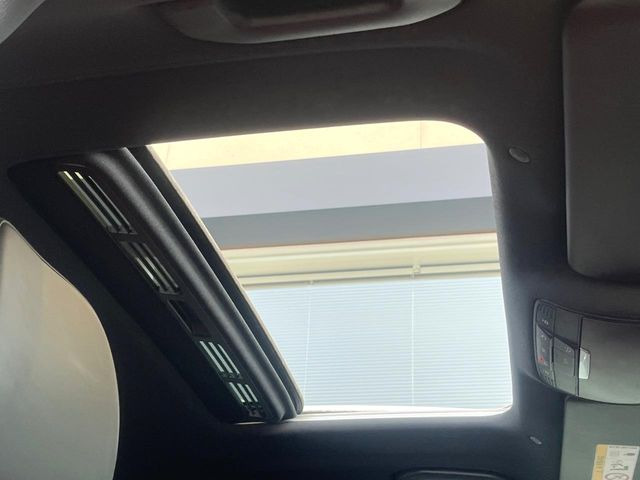 ���p�m���}�~�b�N�K���X���[�t:�唗�͂̃p�m���}���[�t�́A�㕔���Ȃɂ܂ő����Ă���A�J���I�ȋ�Ԃ����y���݂��������܂��B