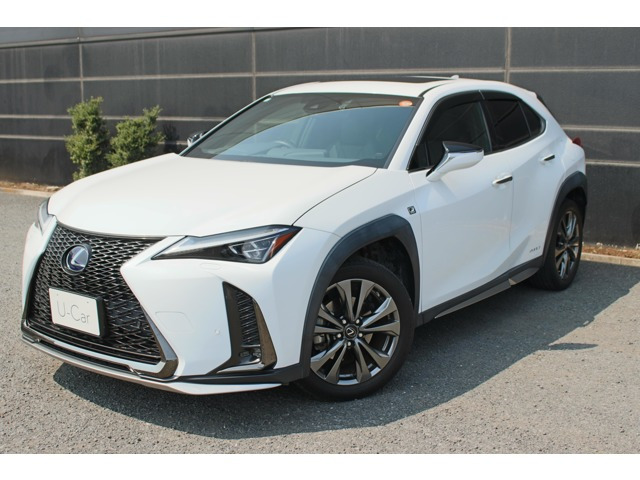 UX250h Fスポーツ