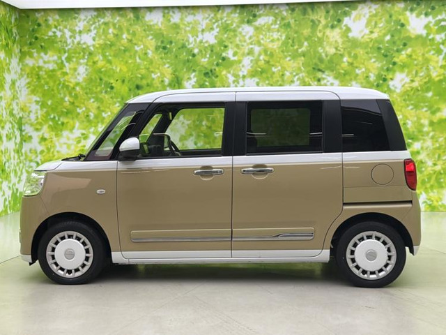 ムーヴキャンバスストライプス G