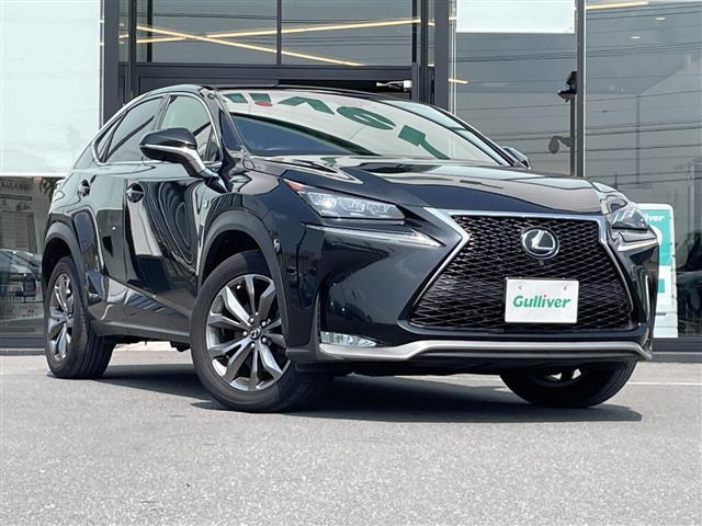 NX300h Fスポーツ