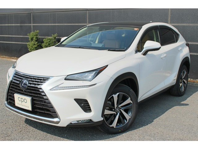 NX300h バージョンL