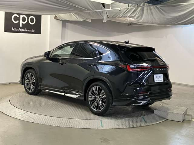 NX250 バージョンL