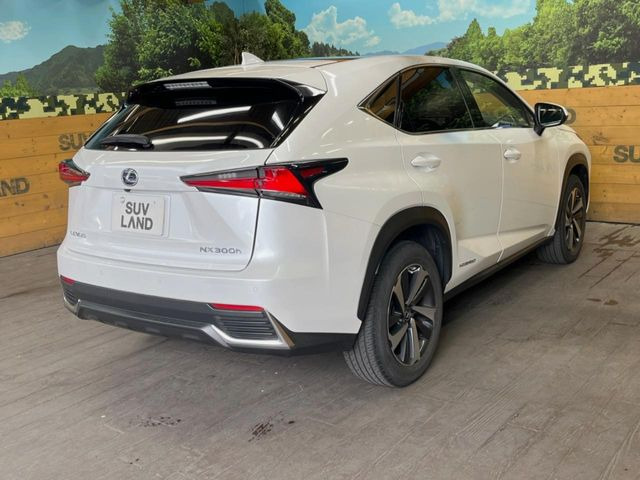 ���S���̃l�N�X�e�[�W���炨���񂹂��\��!�����̓X�܂ɓW�����Ă���N���}���C�ɂȂ�ꍇ���A�Ŋ��̓X�܂ł��������������Ƃ��\�ł�!���񎄂����ɗv�]������������������!���ʓr��p