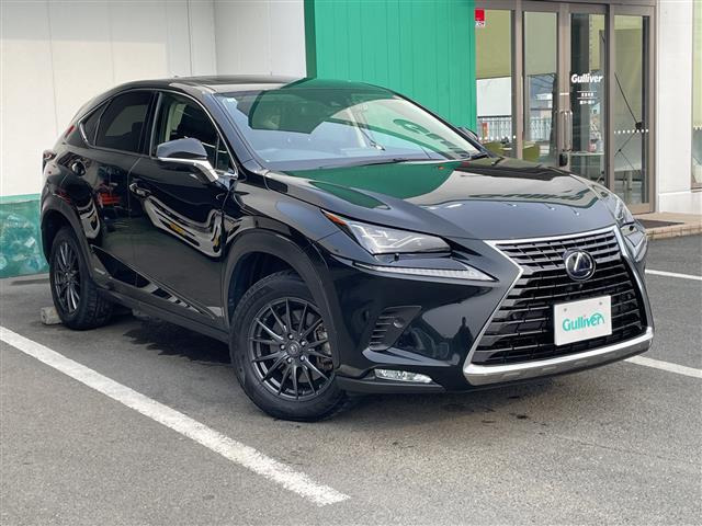 NX300h Iパッケージ