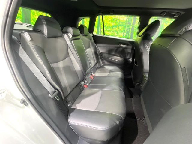 �㕔���Ȃ��C�ɂȂ�悤�ȃL�Y�E�����ւ��蓙�A�傫�ȃ_���[�W�͂Ȃ��A�ǍD�ȏ�Ԃł��B