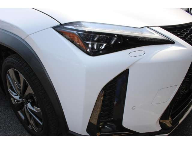 UX250h Fスポーツ