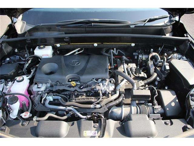 ���ЃI�[�g���[���͓����E�{�[�i�X�����s�v�B�Œ�84��܂ŉ\�ƂȂ��Ă���܂��B�R�������ł��\���܂���̂ł��C�y�ɂ����k�������B