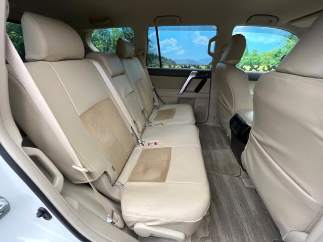 �㕔���Ȃ��C�ɂȂ�悤�ȃL�Y�E�����ւ��蓙�A�傫�ȃ_���[�W�͂Ȃ��A�ǍD�ȏ�Ԃł��B