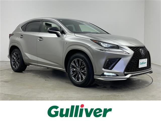 NX300h クール&amp;ブライト