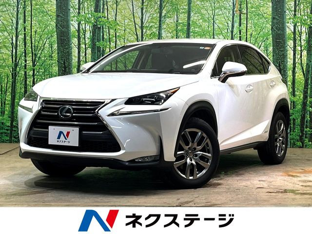 NX300h Iパッケージ