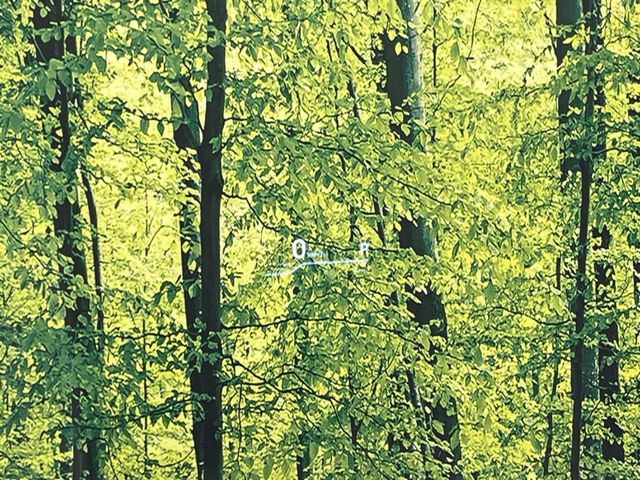 �y�w�b�h�A�b�v�f�B�X�v���C�z���݂̑��x�⑖�s�����f�W�^���\���ŉ^�]�ȑO���̃K���X�ɓ��e!�^�]���A�ڐ������炳���K�v�ȏ����m�F�ł���̂łƂ��Ă��֗��ň��S!