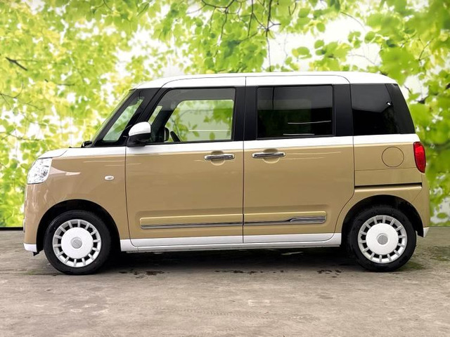 ムーヴキャンバスストライプス G