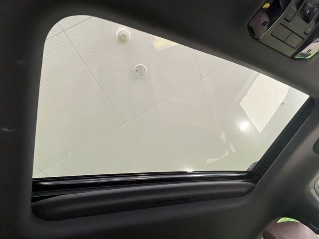 �y�T�����[�t�z�J���������Ղ�̊󏭑����A�T�����[�t����������Ă��܂�!�ԓ��ɖ�����������ꂽ��i�F���y���ވȊO�ɂ��A�ԓ��̋�C���ȒP�Ɋ��C�ł��ĉ��K�ł�!