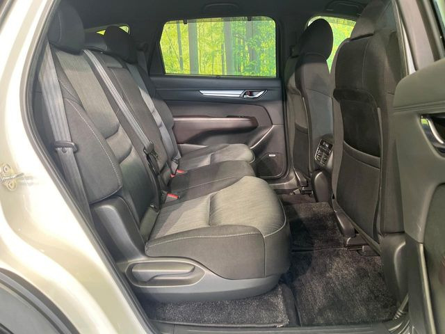 �㕔���Ȃ��C�ɂȂ�悤�ȃL�Y�E�����ւ��蓙�A�傫�ȃ_���[�W�͂Ȃ��A�ǍD�ȏ�Ԃł��B