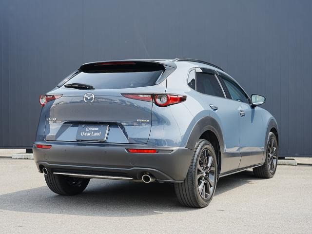 CX-302.0 20S
