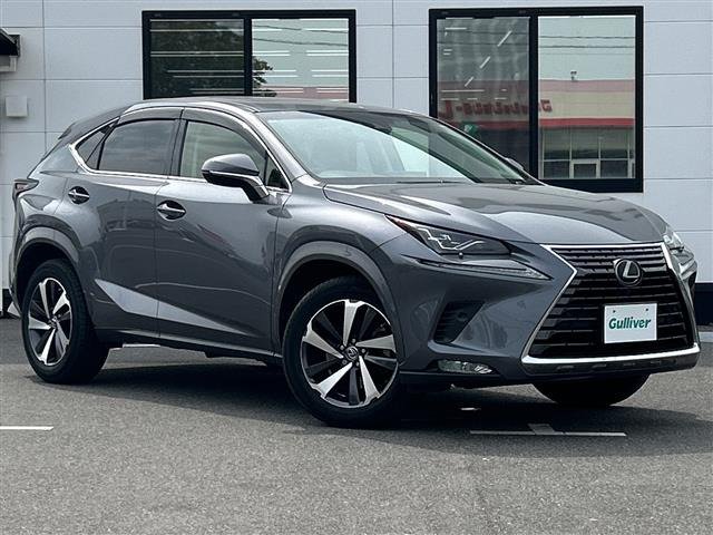 NX300 Iパッケージ