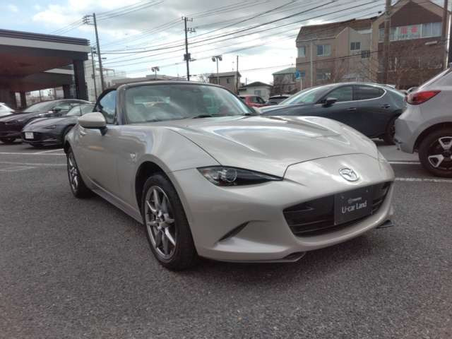 ロードスター1.5 ブラウン トップ