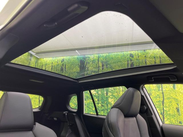 �y�K���X���[�t�z�K���X���[�t���ڂŎԓ��̉��������C�ɃA�b�v!�J���I�ȃh���C�u�����y���݂��������܂��B