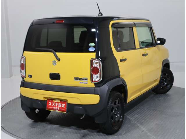 ハスラータフワイルド