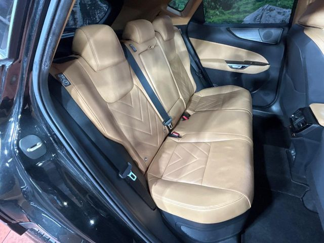 �㕔���Ȃ��C�ɂȂ�悤�ȃL�Y�E�����ւ��蓙�A�傫�ȃ_���[�W�͂Ȃ��A�ǍD�ȏ�Ԃł��B