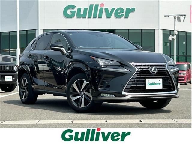 NX300h スパイス&amp;シック