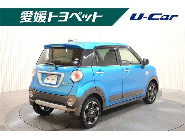 キャストアクティバ G SAII