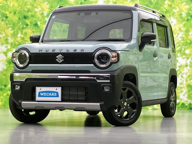 ハスラータフワイルド