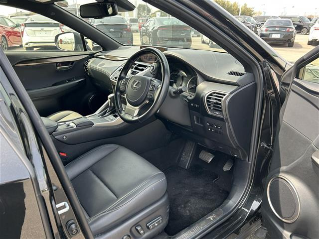 NX300h スパイス&amp;シック