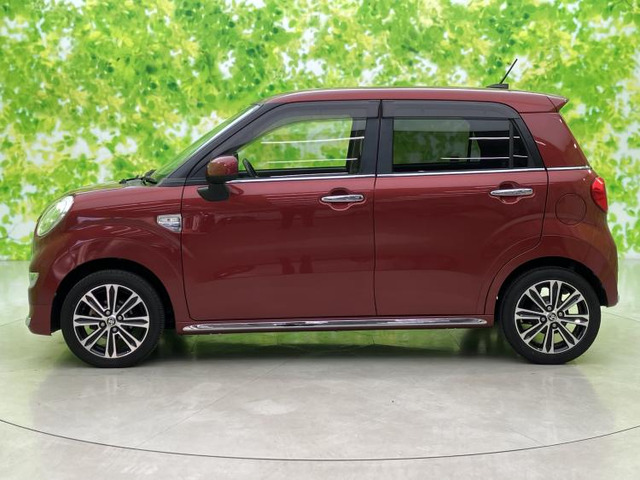 ピクシスジョイF G SAII