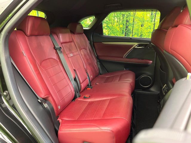 �㕔���Ȃ��C�ɂȂ�悤�ȃL�Y�E�����ւ��蓙�A�傫�ȃ_���[�W�͂Ȃ��A�ǍD�ȏ�Ԃł��B