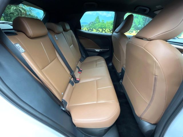 �㕔���Ȃ��C�ɂȂ�悤�ȃL�Y�E�����ւ��蓙�A�傫�ȃ_���[�W�͂Ȃ��A�ǍD�ȏ�Ԃł��B