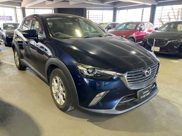 CX-31.5 XD