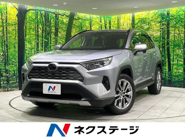RAV4(�g���^) 2.0 G Z�p�b�P�[�W 4WD ���Îԉ摜