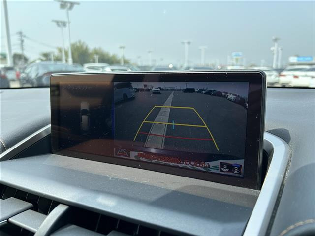 NX300h スパイス&amp;シック