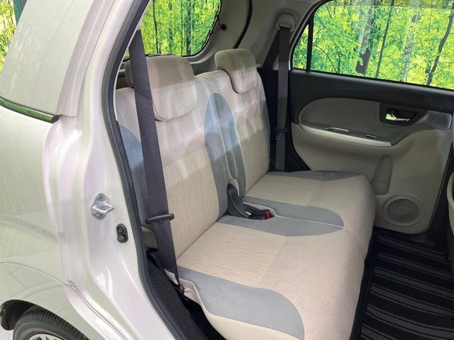 �㕔���Ȃ��C�ɂȂ�悤�ȃL�Y�E�����ւ��蓙�A�傫�ȃ_���[�W�͂Ȃ��A�ǍD�ȏ�Ԃł��B