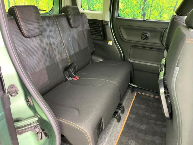 �㕔���Ȃ��C�ɂȂ�悤�ȃL�Y�E�����ւ��蓙�A�傫�ȃ_���[�W�͂Ȃ��A�ǍD�ȏ�Ԃł��B