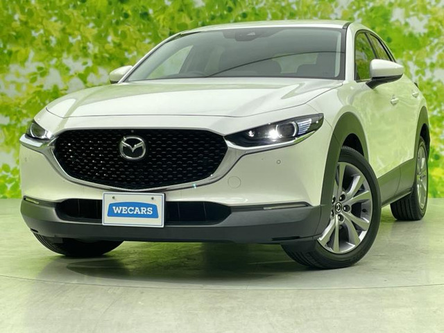 CX-302.0 20S プロアクティブ ツーリングセレクション