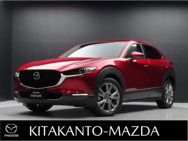 CX-302.0 20S プロアクティブ