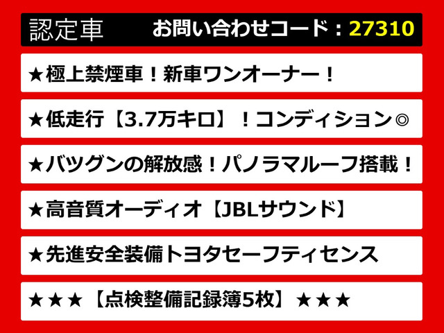 カムリ2.5 WS レザーパッケージ