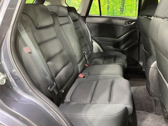 �㕔���Ȃ��C�ɂȂ�悤�ȃL�Y�E�����ւ��蓙�A�傫�ȃ_���[�W�͂Ȃ��A�ǍD�ȏ�Ԃł��B