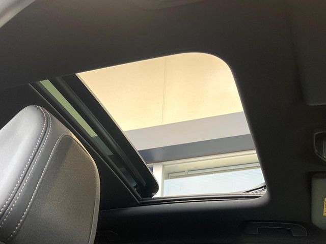 ���p�m���}�~�b�N�K���X���[�t:�唗�͂̃p�m���}���[�t�́A�㕔���Ȃɂ܂ő����Ă���A�J���I�ȋ�Ԃ����y���݂��������܂��B