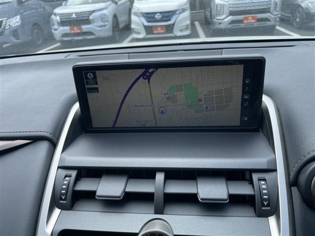 NX300 スパイス&amp;シック