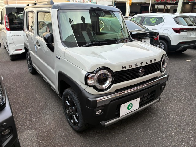 ハスラータフワイルド