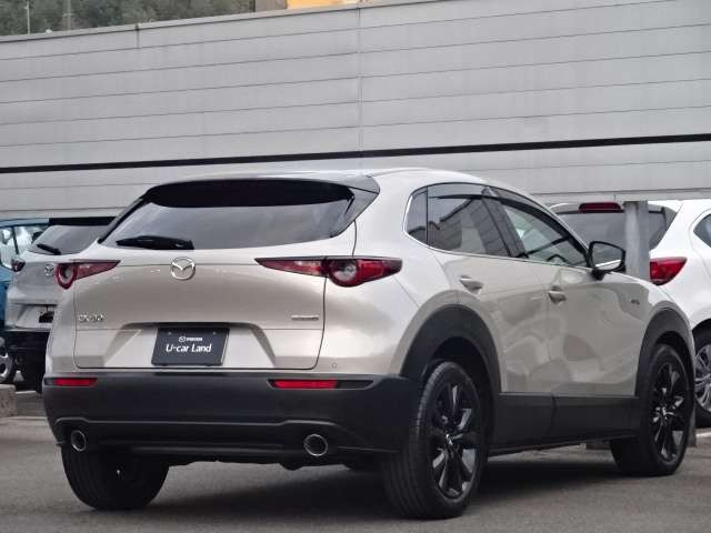 CX-30