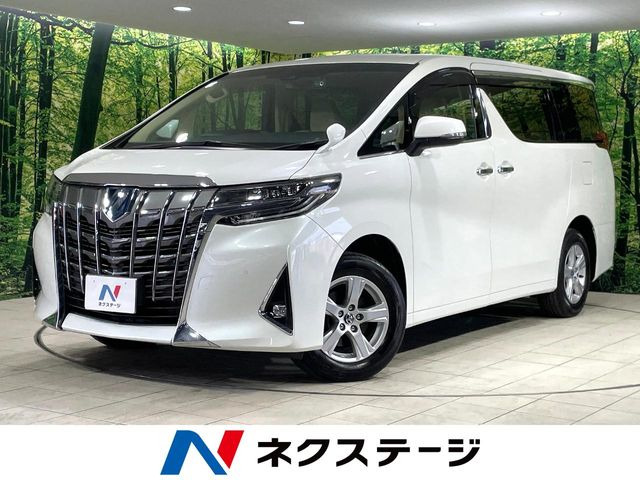 �A���t�@�[�h(�g���^) �n�C�u���b�h 2.5 X ���Îԉ摜