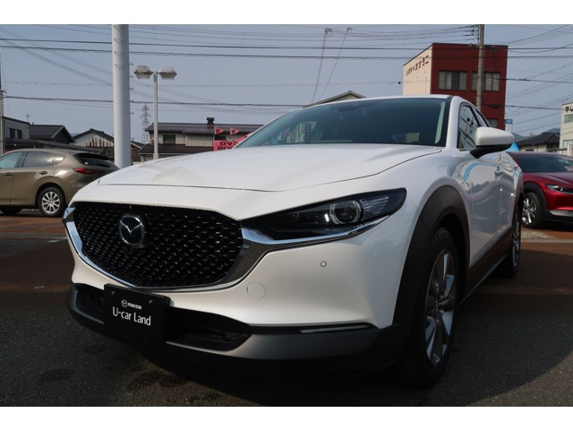 CX-302.0 20S プロアクティブ ツーリングセレクション 4WD