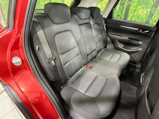 �㕔���Ȃ��C�ɂȂ�悤�ȃL�Y�E�����ւ��蓙�A�傫�ȃ_���[�W�͂Ȃ��A�ǍD�ȏ�Ԃł��B